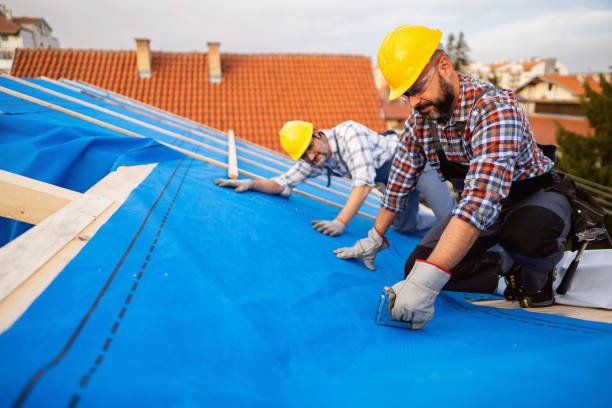 Best Roof Insulation Installation  in USA